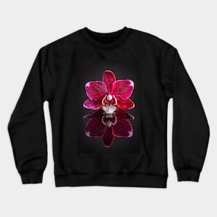 Pink Orchid Reflection with Raindrops Crewneck Sweatshirt